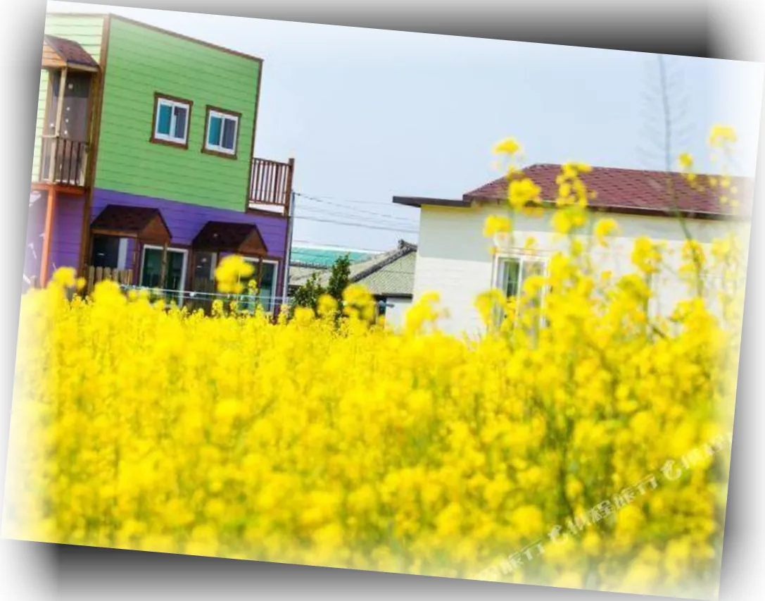 The_Dan_Village_Guesthouse_image_5.webp