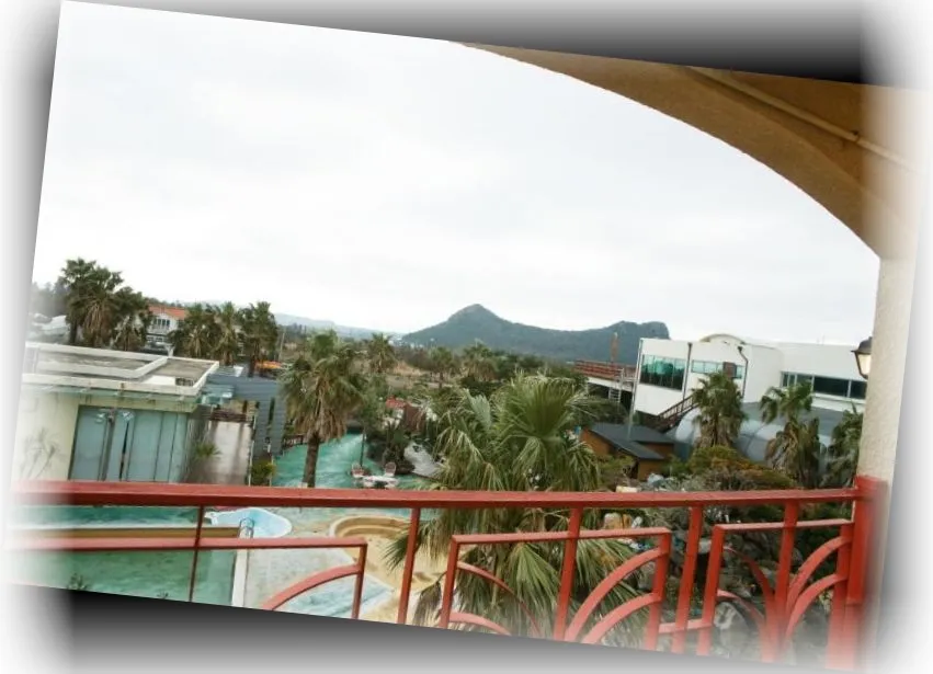 ____________image_7.webp