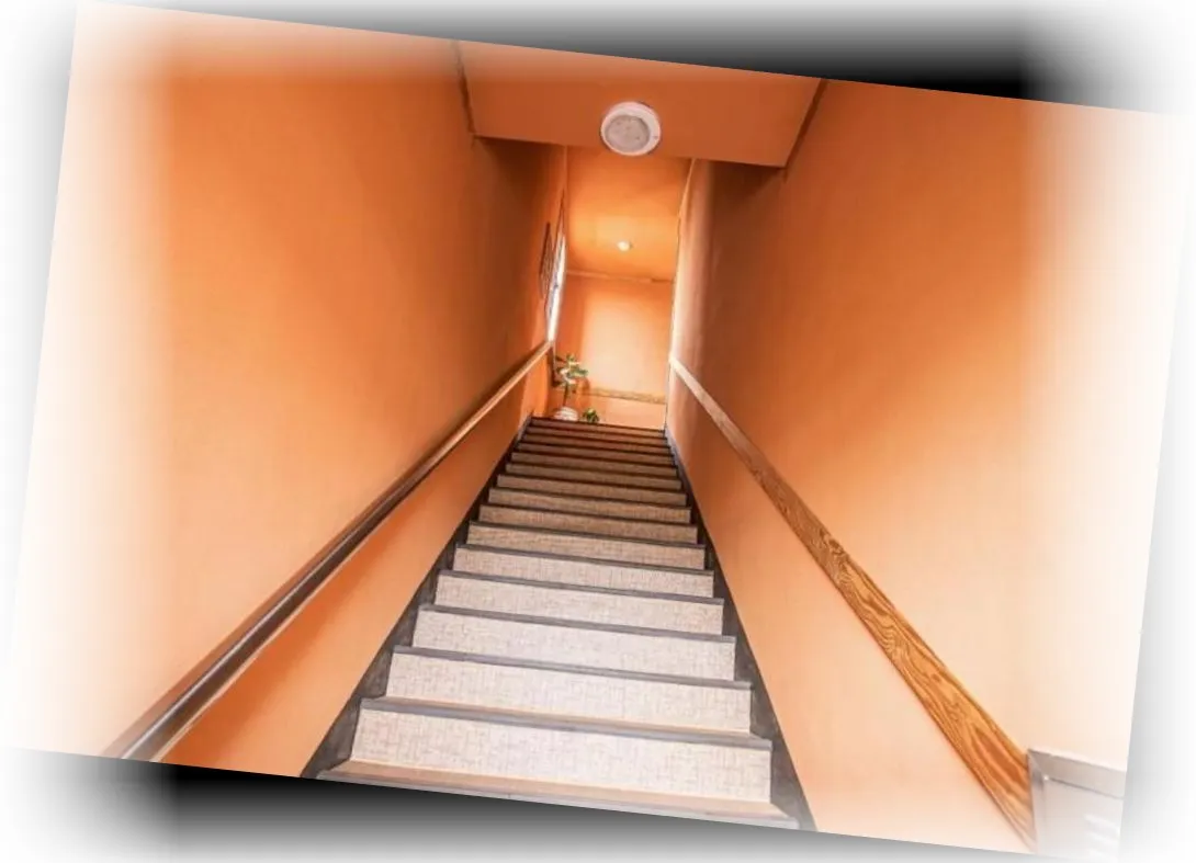 ____________image_8.webp