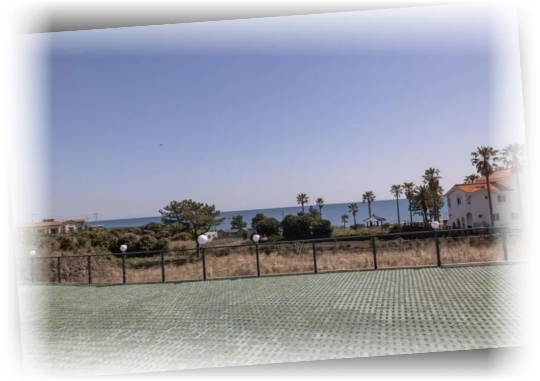 __________image_4.webp