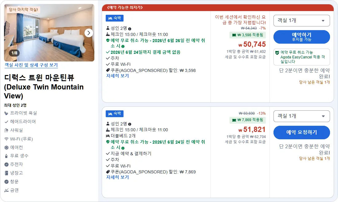 디럭스 트윈 마운틴뷰