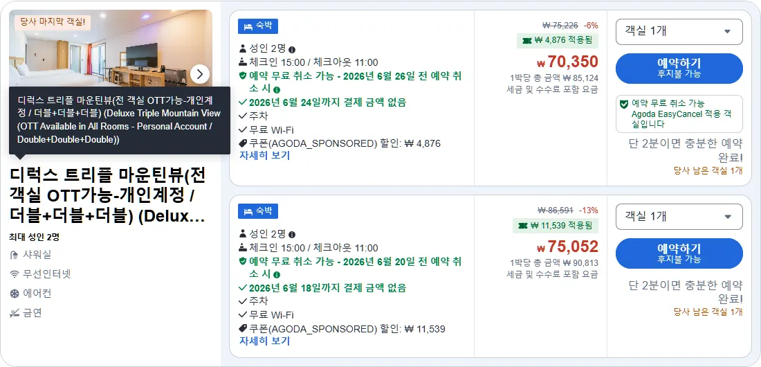 디럭스 트리플 마운틴뷰