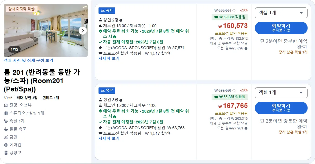 룸 201 (반려동물 동반 가능/스파)